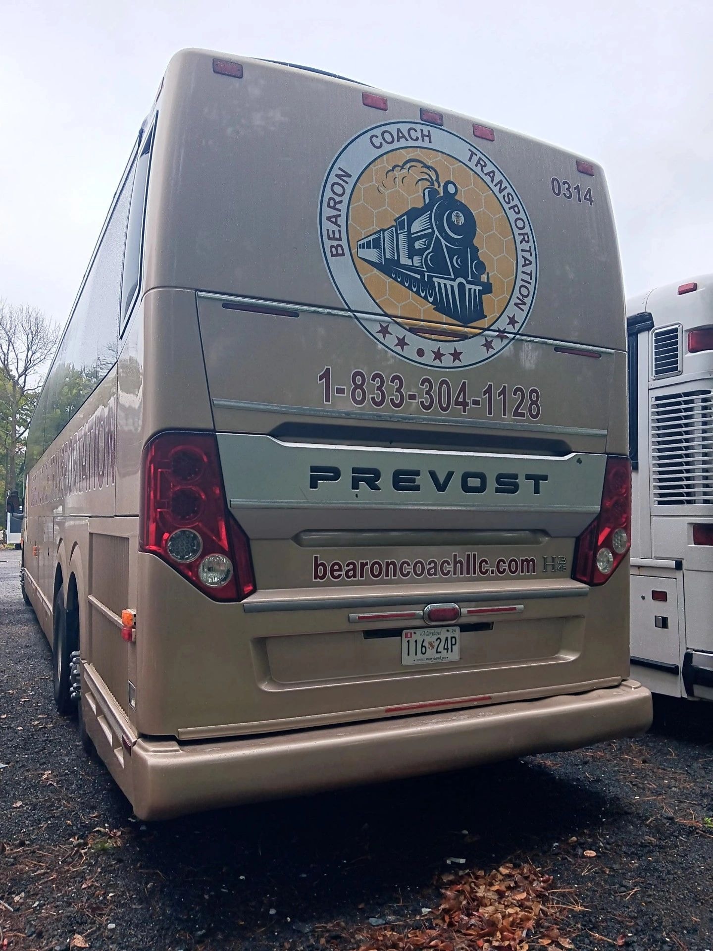 Bearon Coach bus rear view with contact info